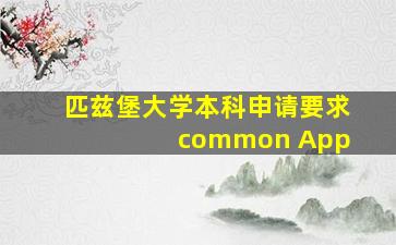 匹兹堡大学本科申请要求 common App